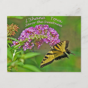 Rosh Hashanah Cards Gifts
