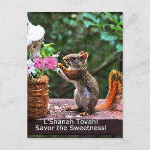 Rosh Hashanah Cards Gifts