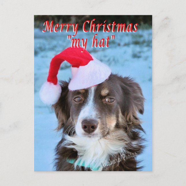 Rosie-CH7-Z - customise Holiday Postcard (Front)