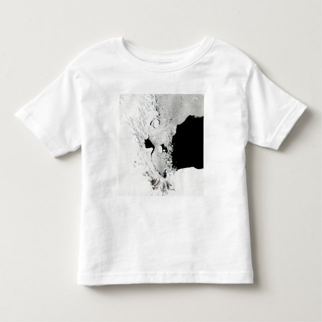Ross Sea, Antarctica Toddler T-Shirt (Front)