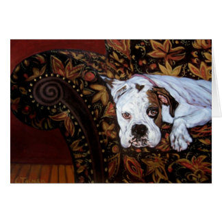 Rossi the Boxer