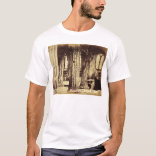 Rosslyn Chapel 1860 Shirt