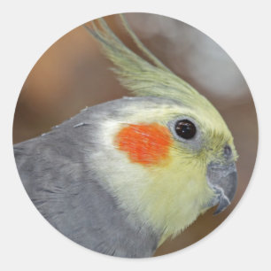 Rosy Cheeks Sticker