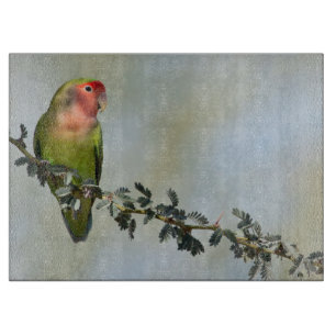 Rosy- faced love bird on a branch cutting board