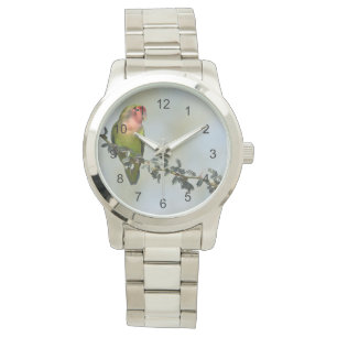 Rosy- faced love bird on a branch  watch