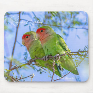 Rosy-faced Lovebird Mouse Pad