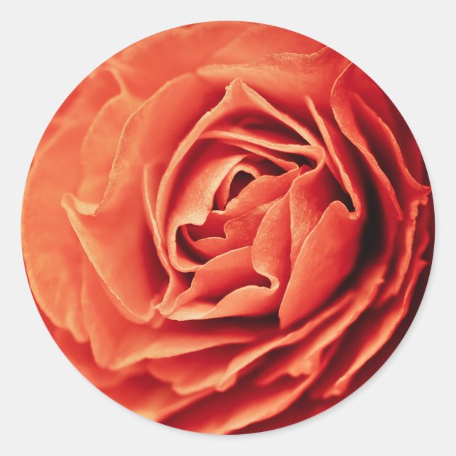 rosy living classic round sticker (Front)
