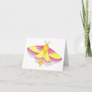 Rosy Maple Moth Card