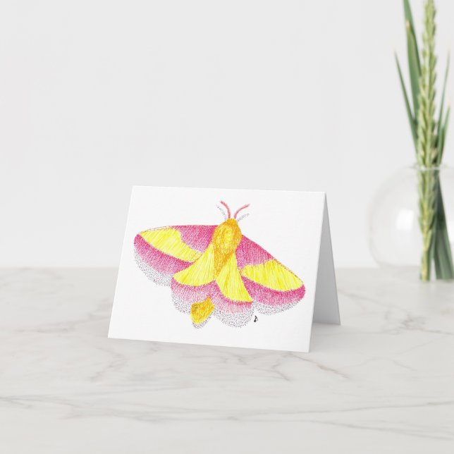 Rosy Maple Moth Card (Front)
