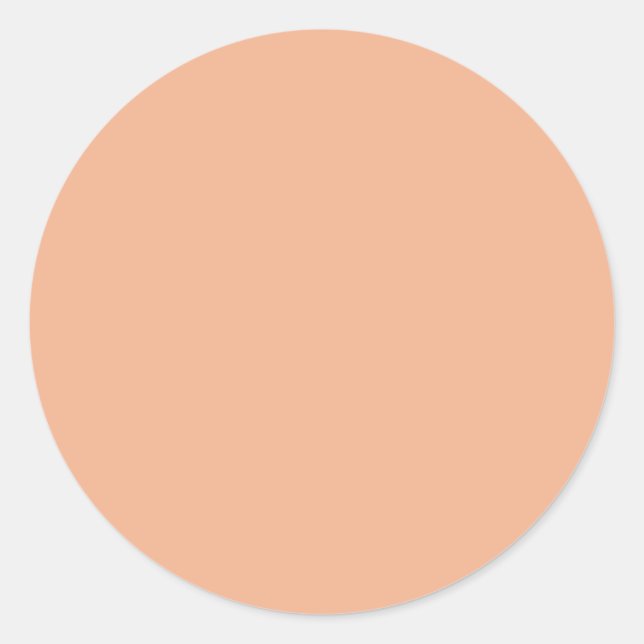 Rosy Peach Beige Classic Round Sticker (Front)