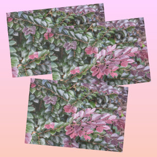 Rosy Purple Green Foliage Botanical Photographic Tissue Paper