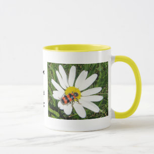 Rot-schwarzer Käfer auf weisser Margerite, Tasse Mug