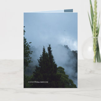 Rotarua Morning Card