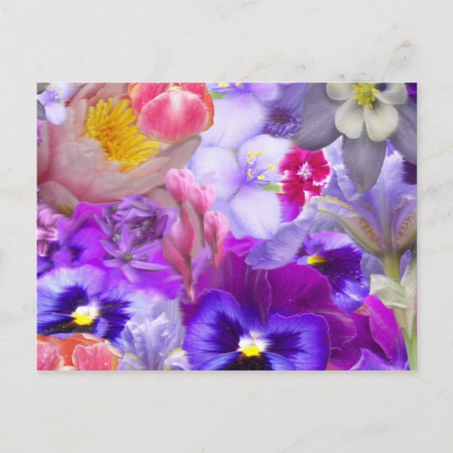 Rotary Garden Postcard (Front)