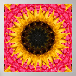 Rotating sunflower poster