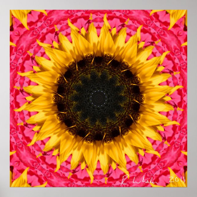 Rotating sunflower poster (Front)