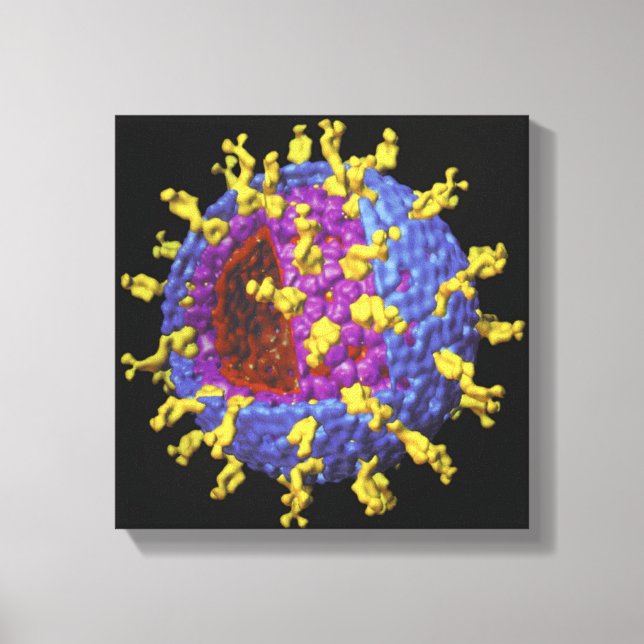 Rotavirus 2 canvas print (Front)