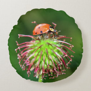 Roter Marienkäfer Round Cushion