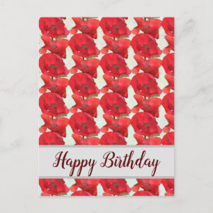 roter Mohn Postcard
