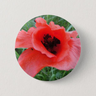 Roter Mohnblumenkelch 6 Cm Round Badge