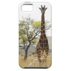Rothschild Giraffe endangered species iPhone 5 cas