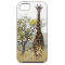 Rothschild Giraffe endangered species iPhone 5 cas