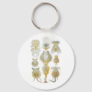 Rotifers Key Ring