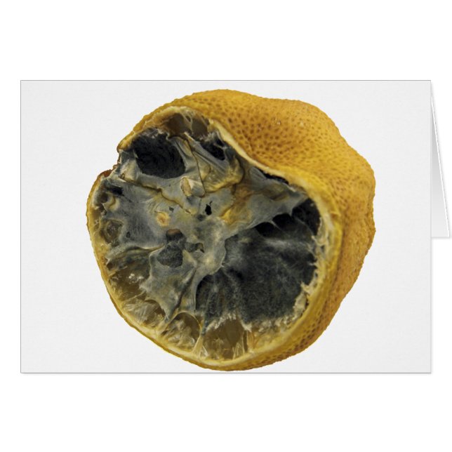 Rotten lemon (Front Horizontal)