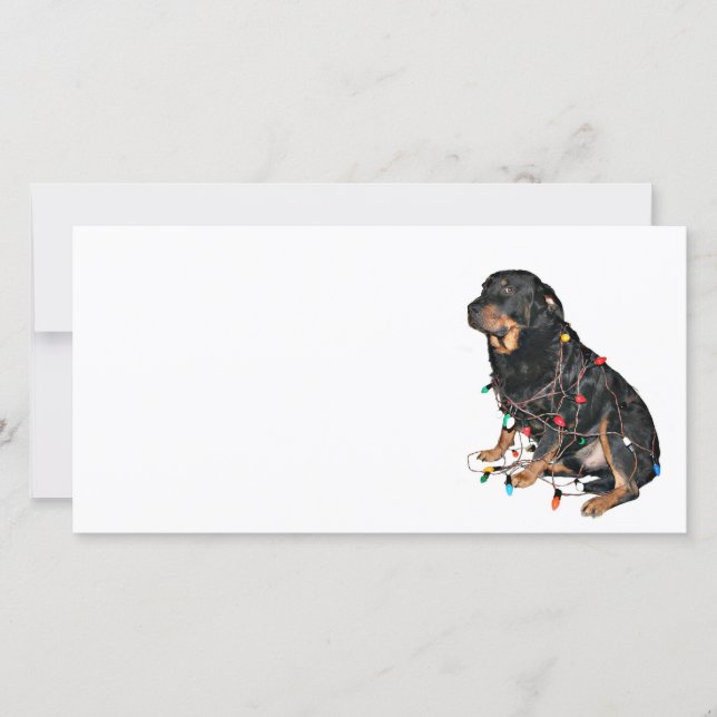Rottie Christmas booboo Holiday Card (Front)