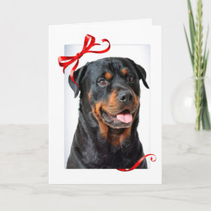 Rottie Christmas Card