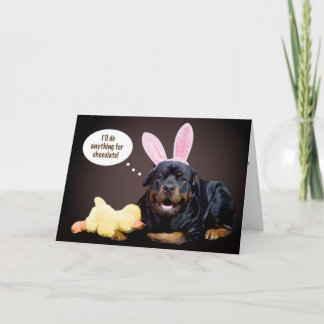 Rottie Easter Wish Holiday Card