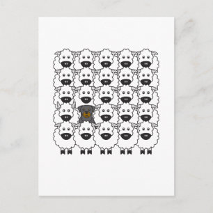 Rottie in the Sheep Postcard