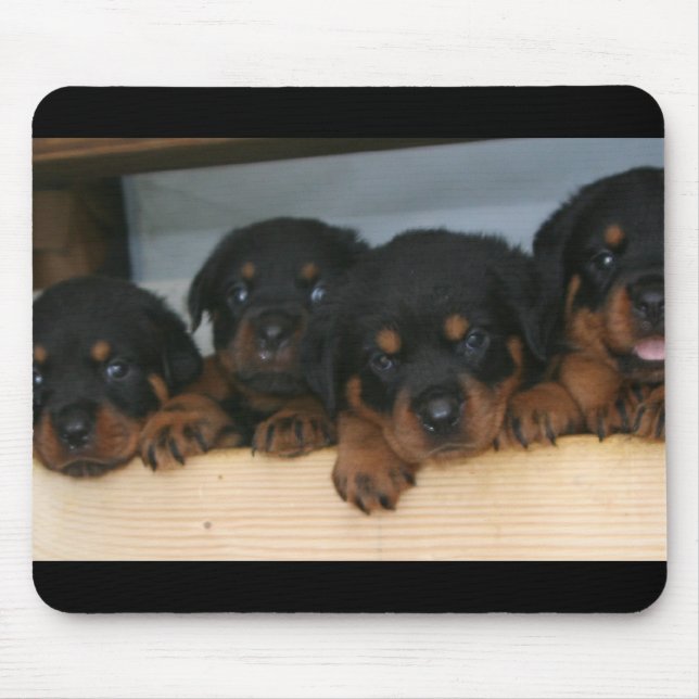 rottie pups mouse pad (Front)