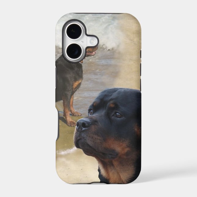 Rottweiler (Back)