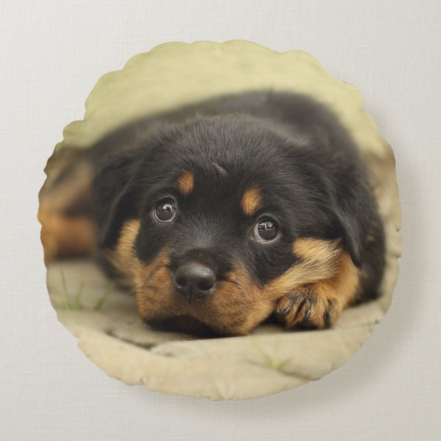 Rottweiler20150901 Round Cushion (Front)