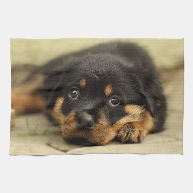 Rottweiler20150901 Tea Towel (Horizontal)