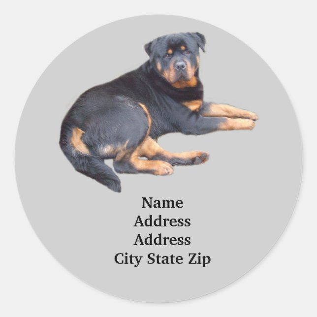 Rottweiler Address Label (Front)