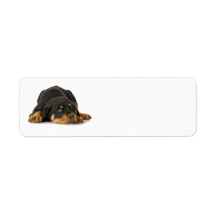 Rottweiler Address Label Return Address Label