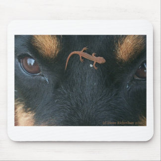 Rottweiler and salamander mouse pad