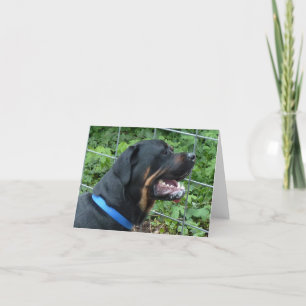 Rottweiler "Apollo" Greeting Card