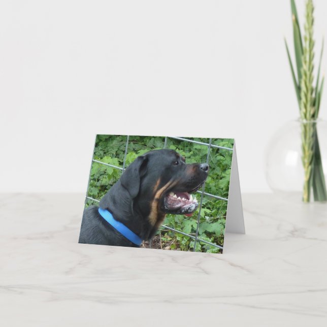 Rottweiler  "Apollo" Greeting Card (Front)