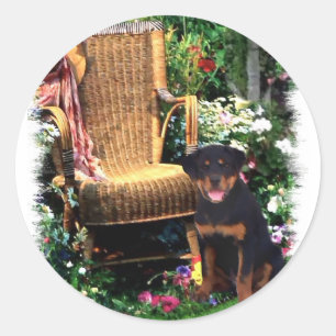 Rottweiler Art Gifts Classic Round Sticker