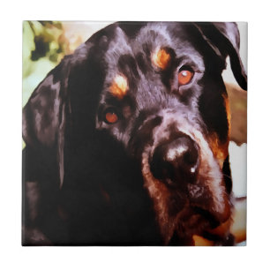 Rottweiler Artistic Pet Portait Ceramic Tile