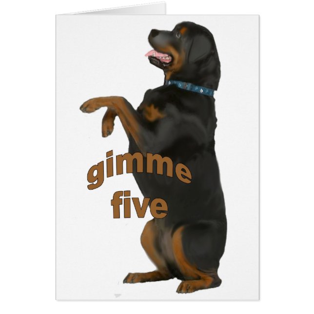 rottweiler_begging (Front)