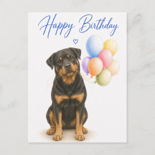 Rottweiler Birthday Postcard