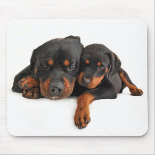 Rottweiler Brown & Black Puppy Dog Love Mouse Pad