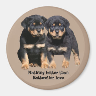 Rottweiler Buddies Magnet