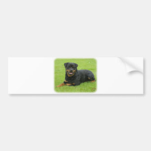 Rottweiler Bumper Sticker