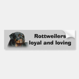 Rottweiler Bumper Sticker