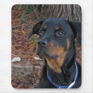 Rottweiler by Redwood Tree Mouse Pad